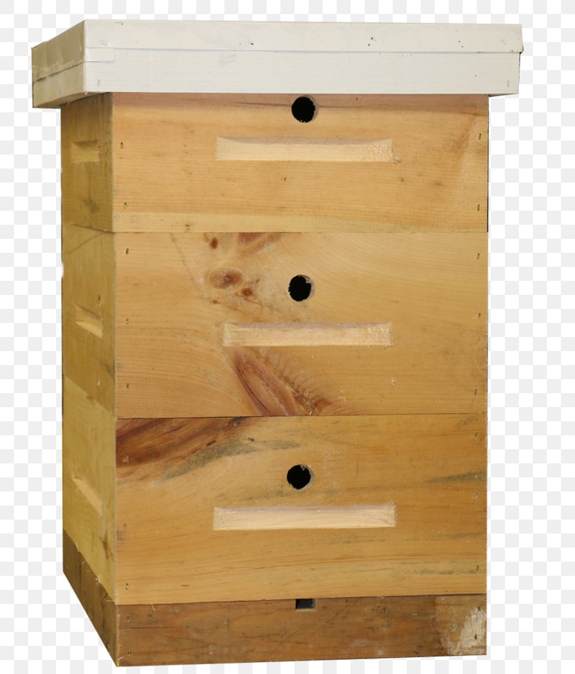 The Observation Hive Drawer Wood Stain Beekeeping Plywood, PNG, 800x960px, Drawer, Beekeeping, Birdhouse, Box, Email Download Free