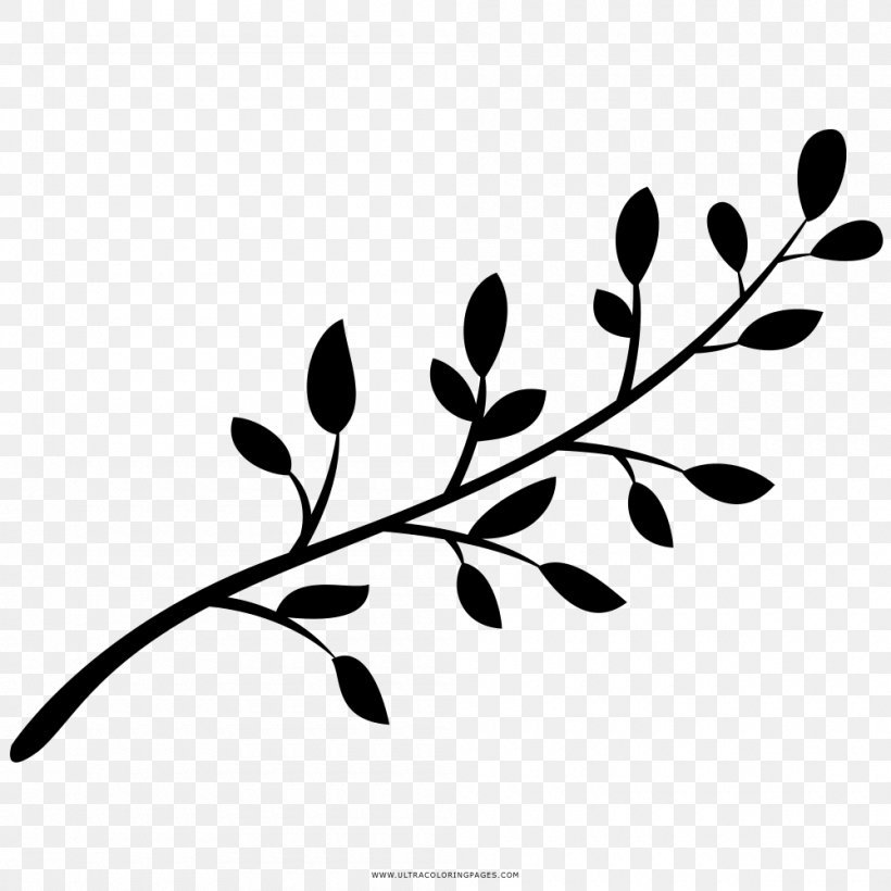 Twig Branch Tree Drawing, PNG, 1000x1000px, Twig, Black And White, Branch, Coloring Book, Drawing Download Free