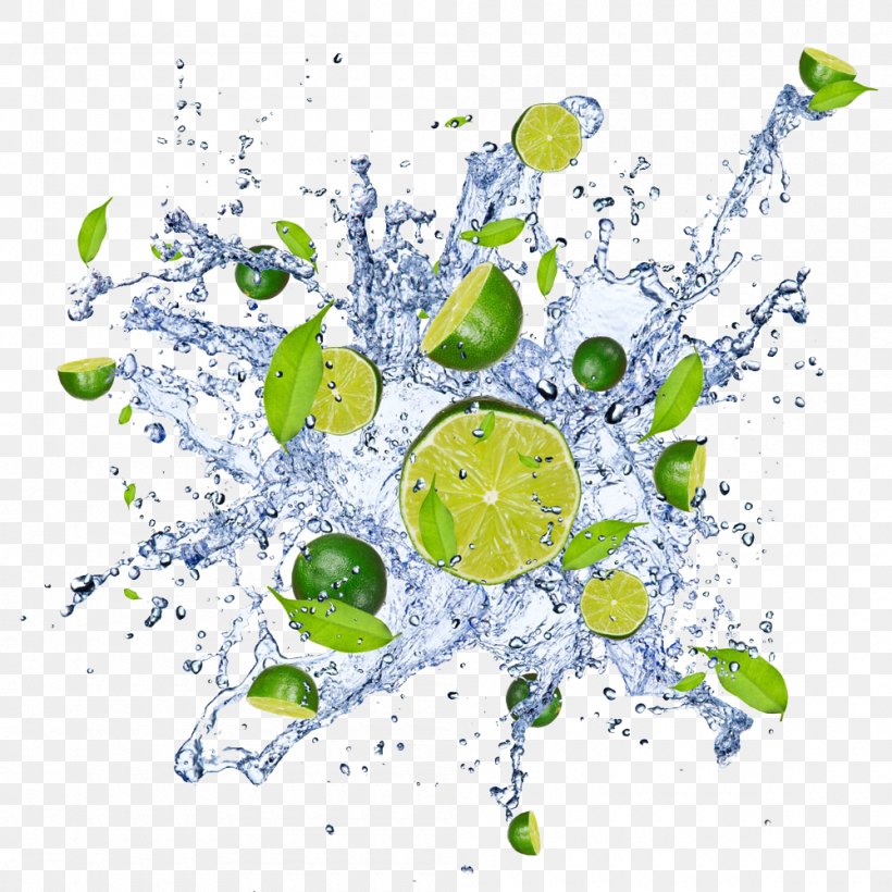 Water Stock Photography Key Lime Lemon, PNG, 1000x1000px, Water, Auglis, Branch, Digital Image, Flora Download Free