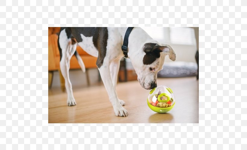 Dog Breed Puppy Dog Toys Pet, PNG, 500x500px, Dog, Behavioral Enrichment, Cat, Collar, Dog Biscuit Download Free
