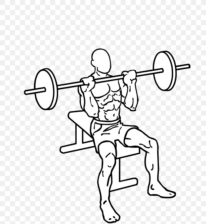 Overhead Press Gwasg Milwrol Exercise Shoulder Deltoid Muscle, PNG, 701x891px, Overhead Press, Area, Arm, Art, Artwork Download Free