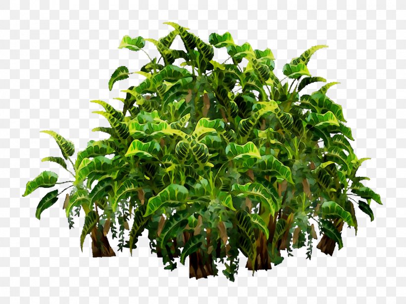 Tree Flowerpot Houseplant Shrub Herb, PNG, 1561x1171px, Tree, Aquarium Decor, Flower, Flowering Plant, Flowerpot Download Free