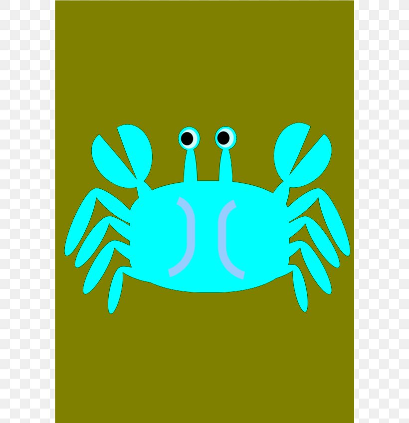 Crab Meat Clip Art, PNG, 600x849px, Crab, Amphibian, Area, Art, Beak Download Free