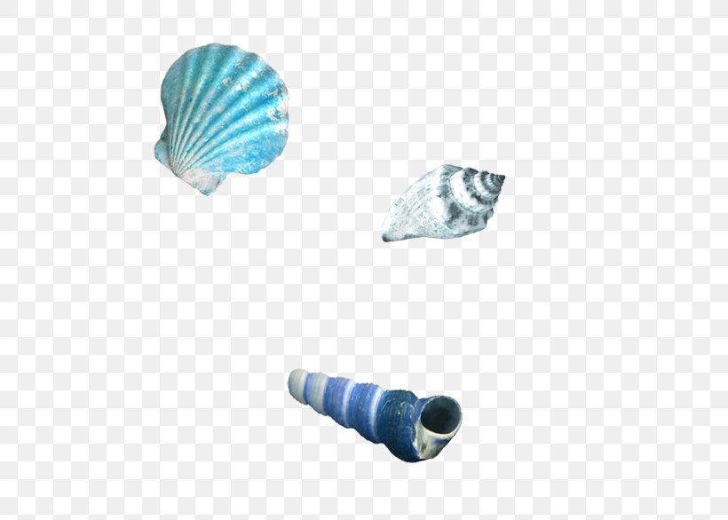 Sandy Beach Conch Seashell, PNG, 663x586px, Sandy Beach, Aqua, Beach, Blue, Conch Download Free