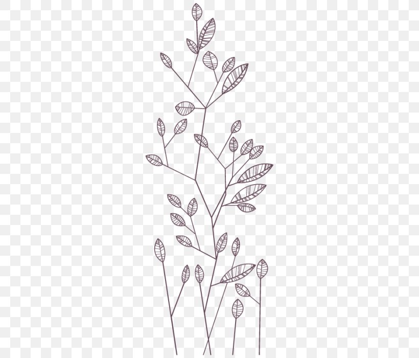 Twig Drawing Plant Stem Line Leaf, PNG, 700x700px, Twig, Black And White, Branch, Drawing, Flora Download Free