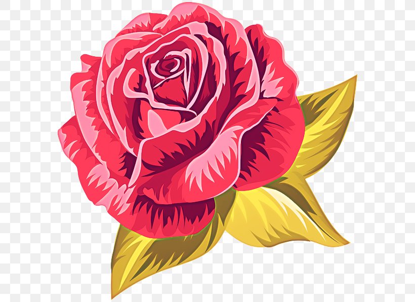 Garden Roses, PNG, 600x596px, Garden Roses, Cut Flowers, Flower, Hybrid Tea Rose, Petal Download Free