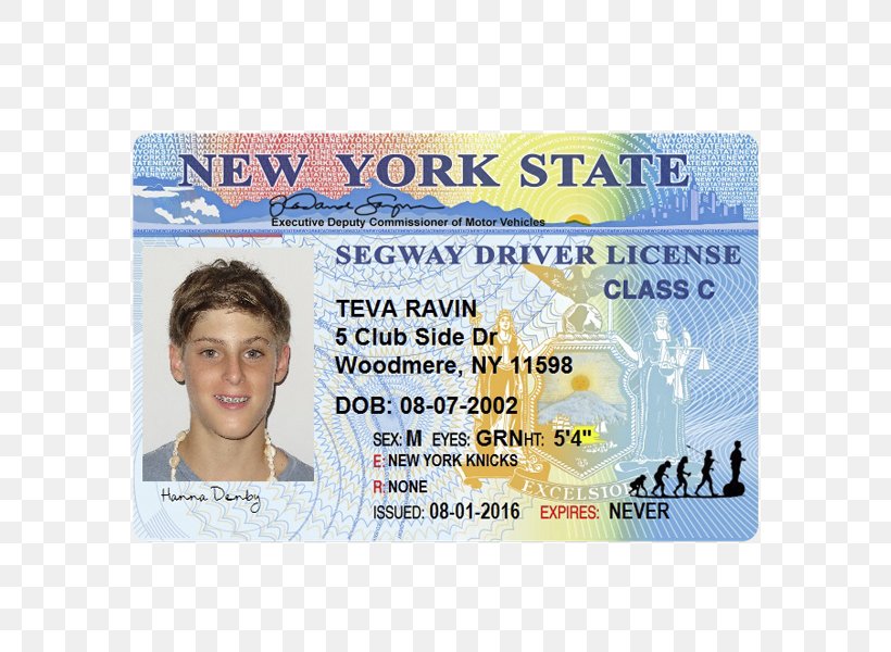 New York City Commercial Driver's License Identity Document, PNG, 600x600px, New York City, Department Of Motor Vehicles, Driving, Identity Document, License Download Free