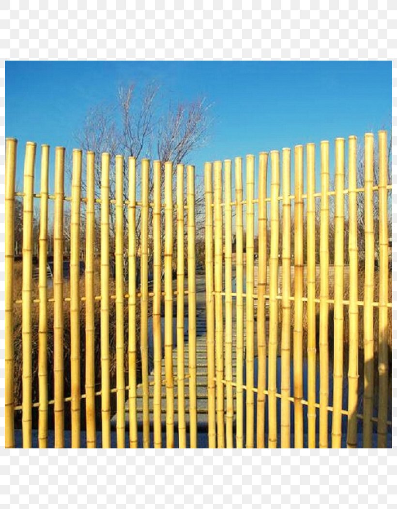 Picket Fence Garden Bamboo Frame And Panel Bambou, PNG, 800x1050px, Picket Fence, Bamboo, Bamboo Floor, Bambou, Door Download Free
