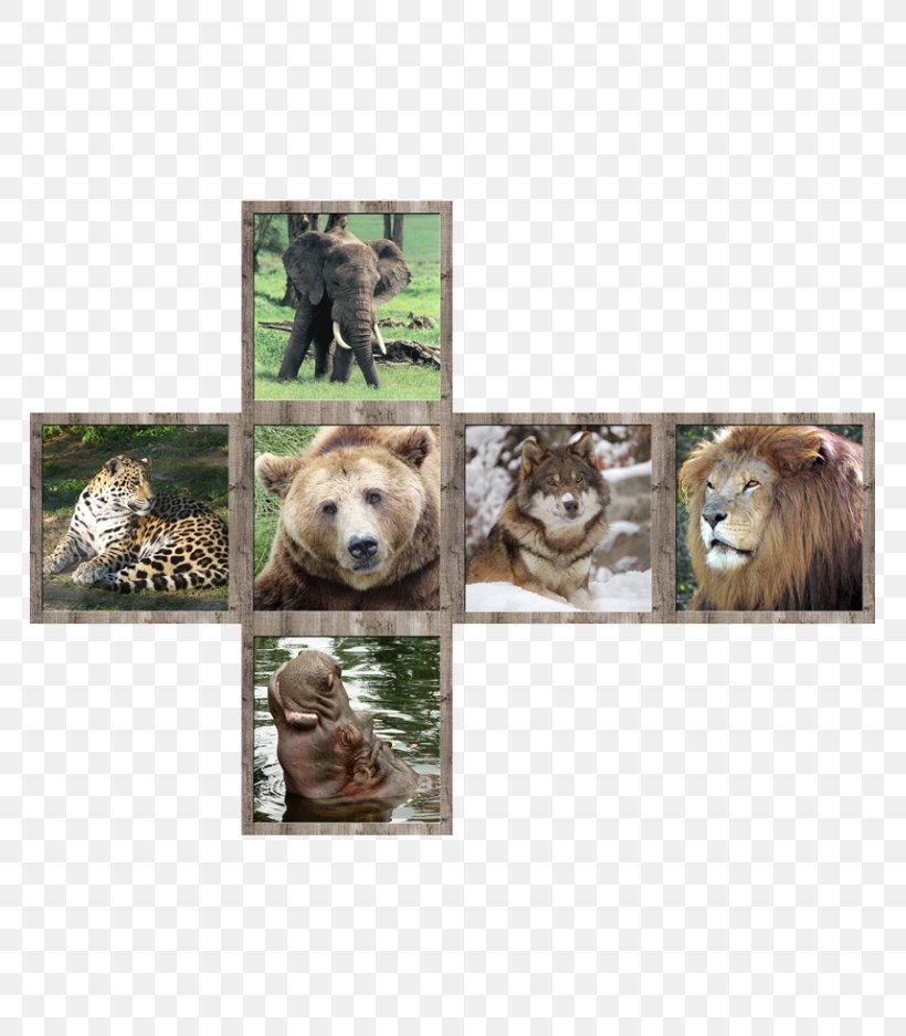 Lion Wildlife Cat V-Cube 7, PNG, 765x937px, Lion, Animal, Big Cats, Carnivoran, Cat Download Free