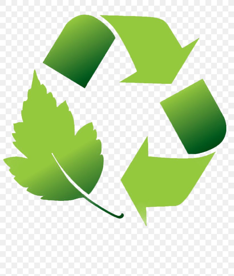 Download Paper Recycling Symbol, PNG, 804x967px, Paper, Grass, Green, Leaf, Logo Download Free