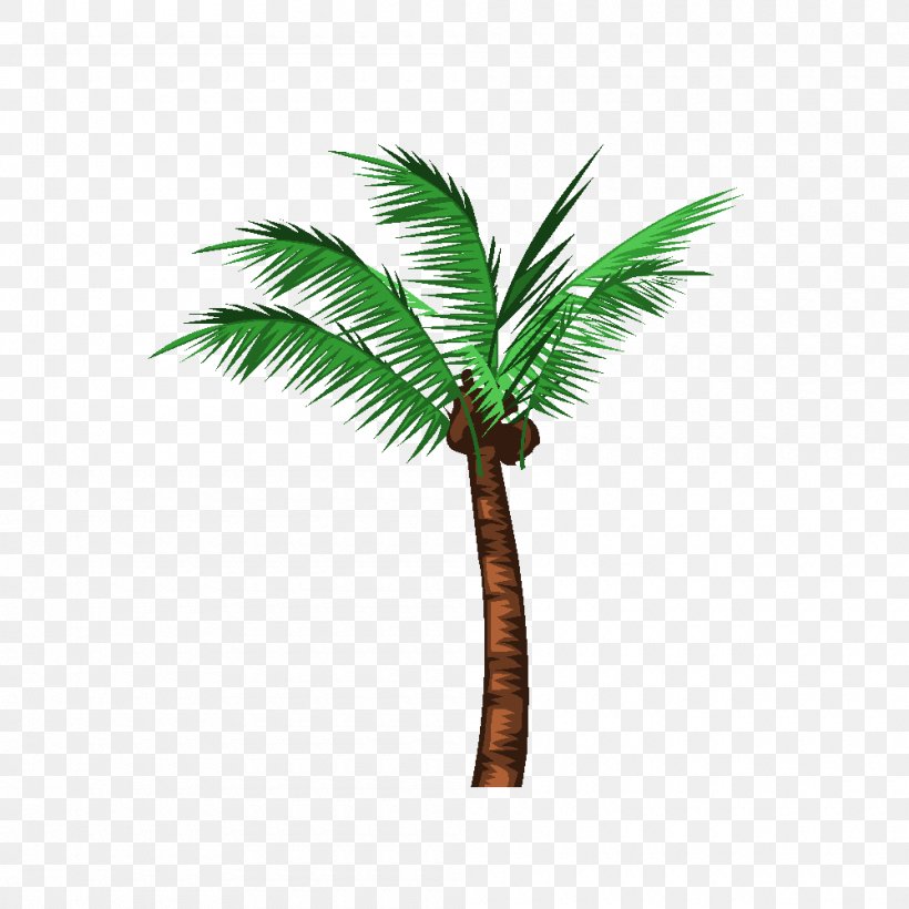 Asian Palmyra Palm Babassu Arecaceae Oil Palms Coconut, PNG, 1000x1000px, Asian Palmyra Palm, Arecaceae, Arecales, Attalea, Attalea Speciosa Download Free