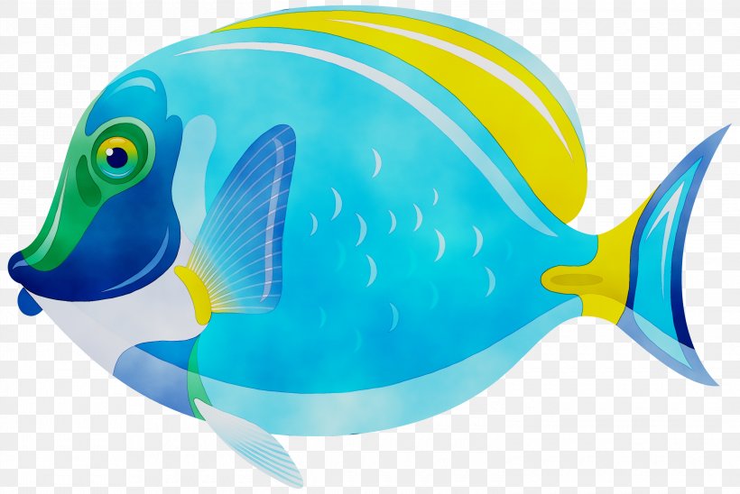Clip Art Transparency Image Free Content, PNG, 3000x2006px, Fish, Animal Figure, Bonyfish, Butterflyfish, Coral Reef Fish Download Free