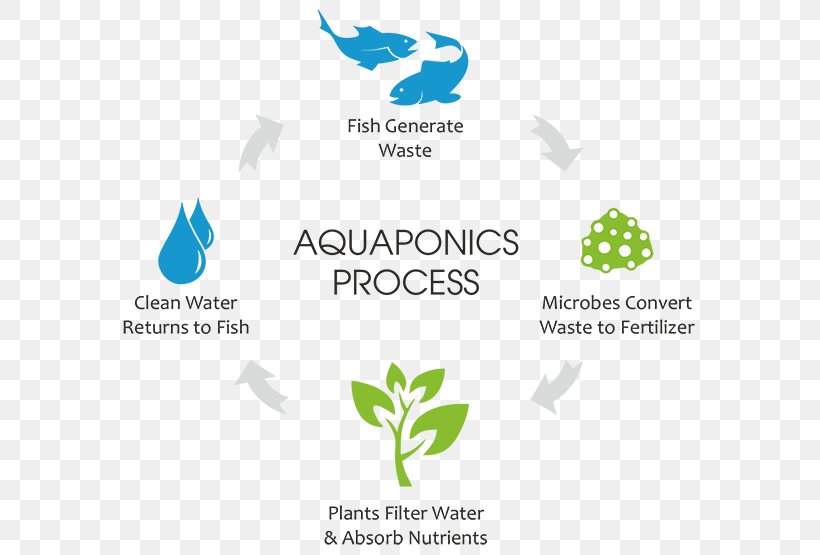Aquaponics Agriculture Aquaculture Hydroponics Fish Farming, PNG, 600x555px, Aquaponics, Agriculture, Aquaculture, Brand, Diagram Download Free