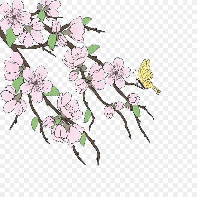 Cherry Blossom Drawing Branch, PNG, 2362x2362px, Cherry Blossom, Blossom, Branch, Cut Flowers, Drawing Download Free