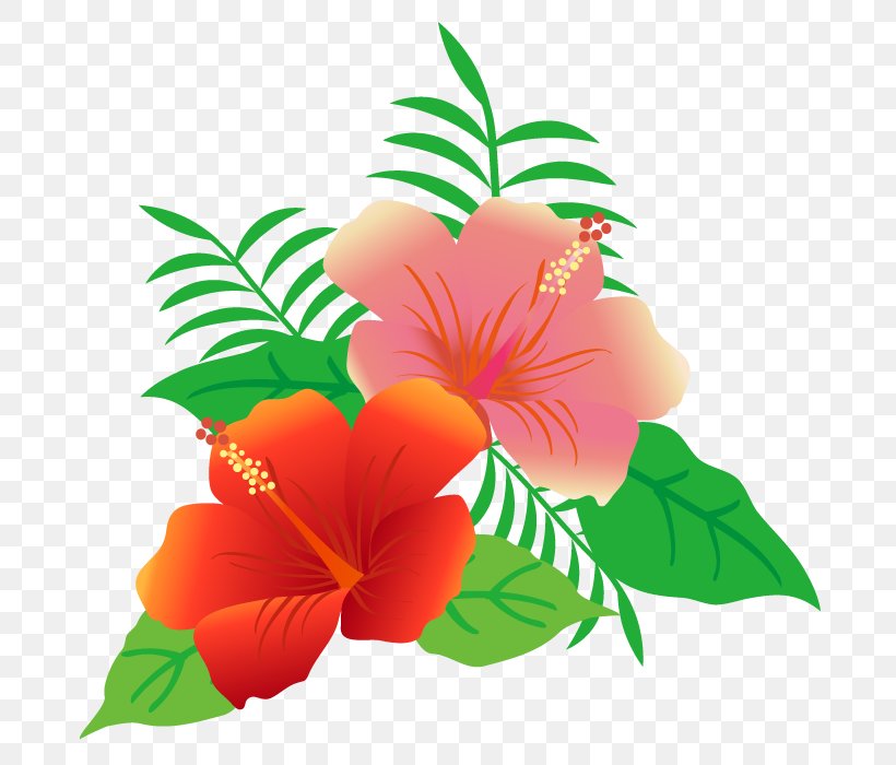 Flowers And Leaves Of Hibiscus., PNG, 700x700px, Shoeblackplant, Book Illustration, Chinese Hibiscus, Common Sunflower, Floral Design Download Free