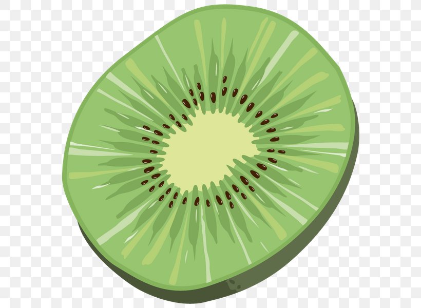 Kiwifruit Drawing Dried Fruit, PNG, 600x600px, Kiwifruit, Drawing, Dried Fruit, Food, Fruit Download Free