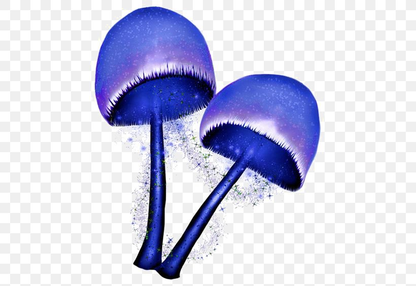 Mushroom Fruit Clip Art, PNG, 564x564px, Mushroom, Albom, Blue, Electric Blue, Entoloma Hochstetteri Download Free