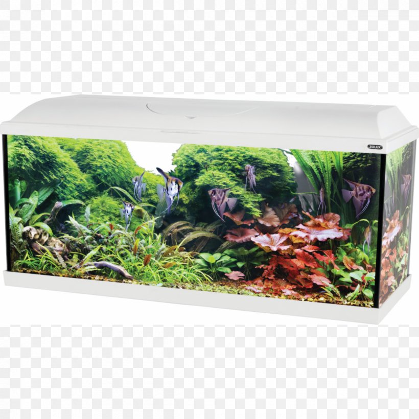 Siamese Fighting Fish Aquarium Heater Tropical Fish, PNG, 1200x1200px, Siamese Fighting Fish, Animal, Aquarium, Aquarium Decor, Aquatic Plant Download Free