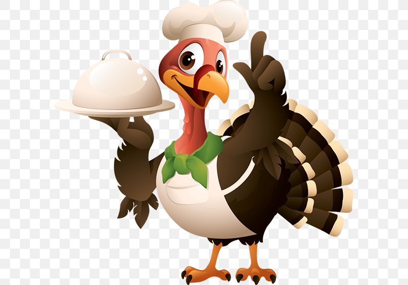 Thanksgiving Turkey Meat Vector Graphics Clip Art Illustration, PNG, 600x573px, Thanksgiving, Beak, Bird, Cartoon, Chicken Download Free