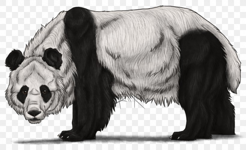 The Giant Panda Bear Drawing Sketch, PNG, 900x549px, Giant Panda, Animal, Art, Bear, Black And White Download Free