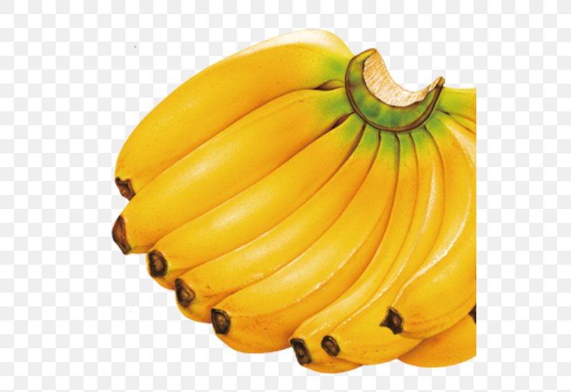 Diet Banana Fruit Auglis, PNG, 549x563px, Diet, Anorexia, Apple, Auglis, Banana Download Free