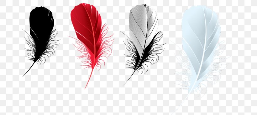 Feather PhotoFiltre Brush, PNG, 759x368px, Feather, Brush, Computer Software, Ink, Little Things Download Free