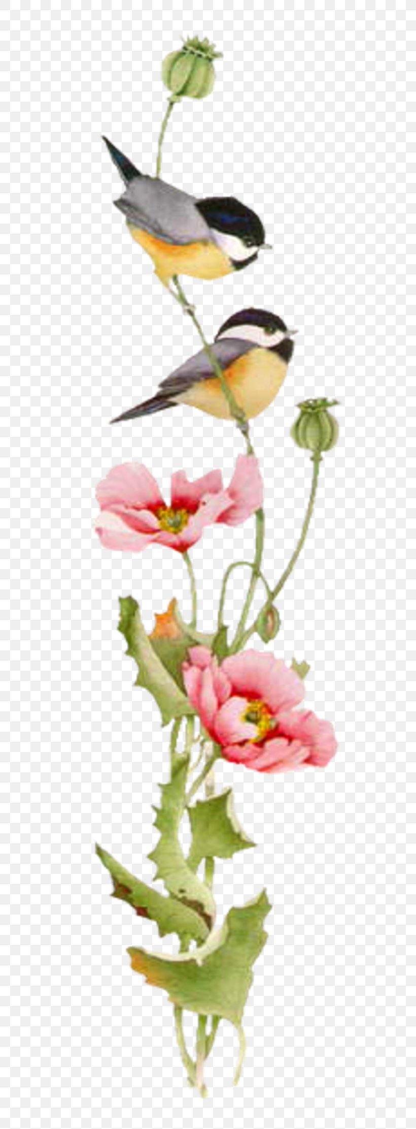 Floral Design Vase Cut Flowers Rose Family, PNG, 800x2222px, Floral Design, Art, Cut Flowers, Flora, Floristry Download Free