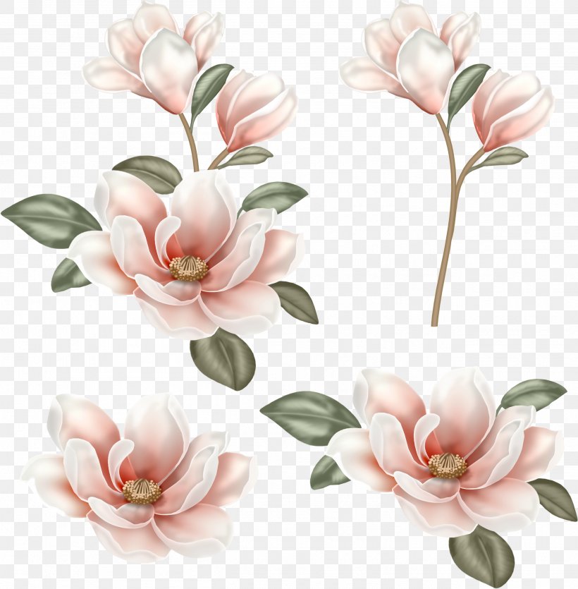 Flower Magnolia Clip Art, PNG, 2607x2657px, Flower, Blossom, Cut Flowers, Floral Design, Flowering Plant Download Free
