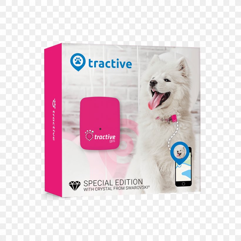 GPS Navigation Systems GPS Tracking Unit Global Positioning System Dog Tractive GmbH, PNG, 1000x1000px, Gps Navigation Systems, Brand, Cat, Dog, Dog Like Mammal Download Free