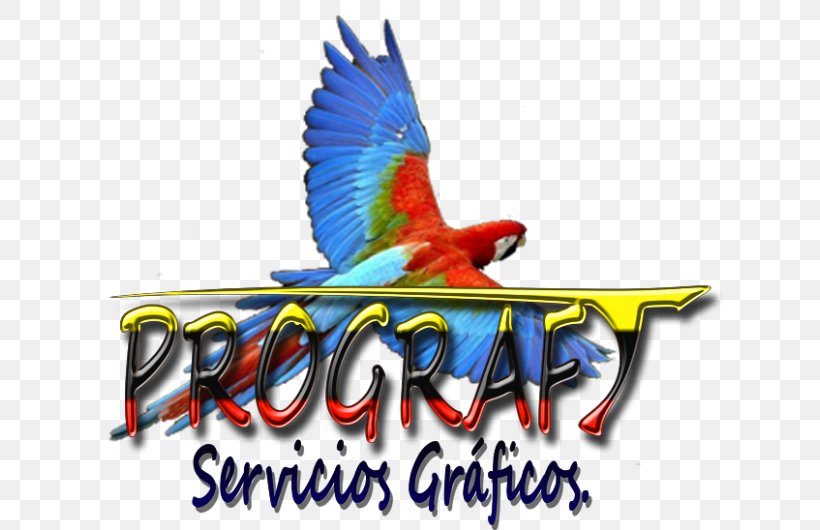 Macaw Honduras Logo Fauna Feather, PNG, 631x530px, Macaw, Advertising, Beak, Bird, Fauna Download Free