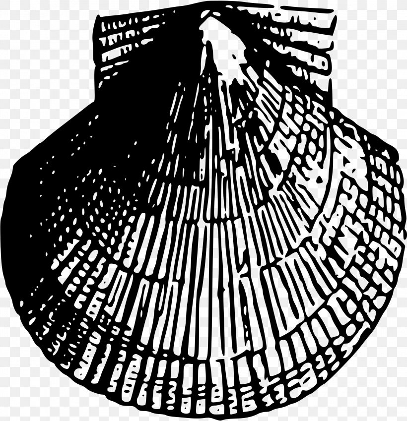 Seashell, PNG, 2317x2400px, Seashell, Black And White, Drawing, Mollusc Shell, Monochrome Download Free