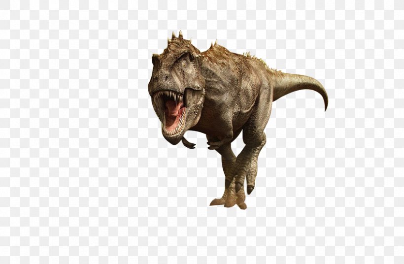 Tyrannosaurus Velociraptor Dinosaur, PNG, 847x554px, Tyrannosaurus, Carnivoran, Dinosaur, Fauna, Jurassic Download Free