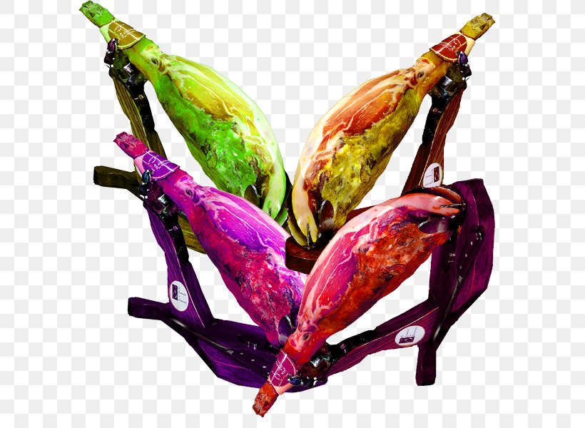 Art Clip Art, PNG, 600x600px, Art, Alcoholic Beverage, Ornament, Plant, Purple Download Free