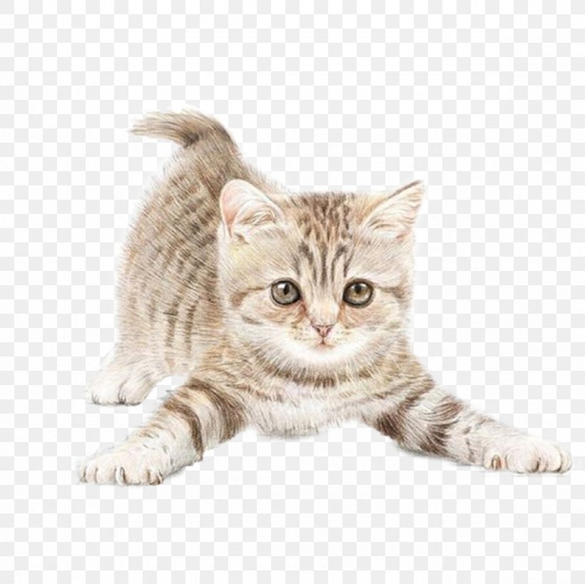 Cat Watercolor Painting Drawing Clip Art, PNG, 2362x2362px, Cat, American Shorthair, American Wirehair, Animation, Asian Download Free