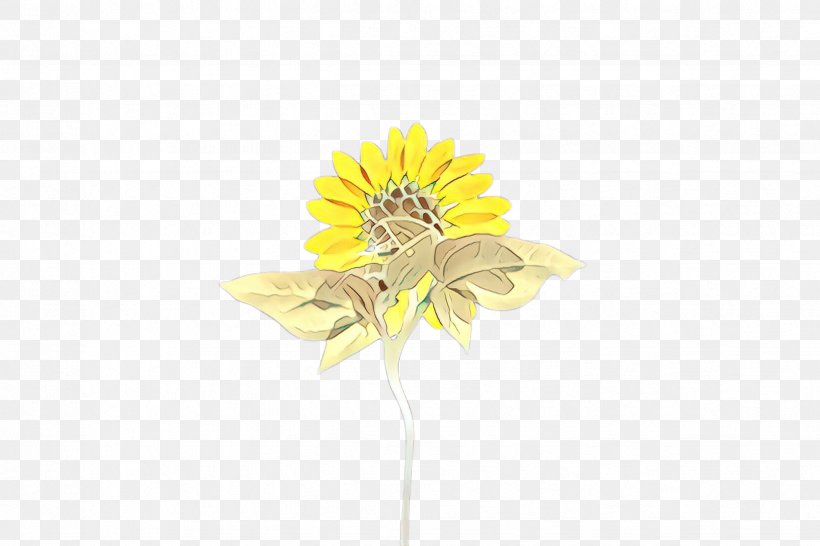 Flowers Background, PNG, 2448x1632px, Sunflower, Artificial Flower, Bloom, Book, Cut Flowers Download Free