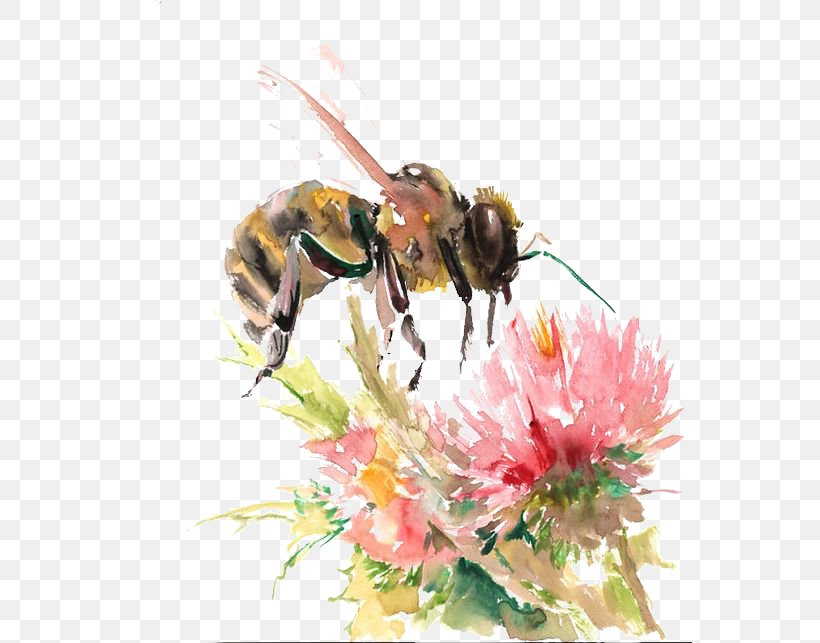 Bee Watercolor: Flowers Watercolor Painting Drawing, PNG, 564x643px, Bee, Arthropod, Bee Brood, Bumblebee, Color Download Free