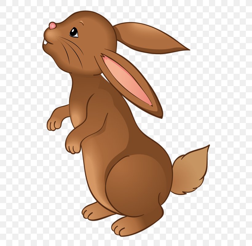 Easter Bunny Leporids European Rabbit Clip Art, PNG, 626x800px, Easter Bunny, Beaver, Carnivoran, Cartoon, Dog Like Mammal Download Free