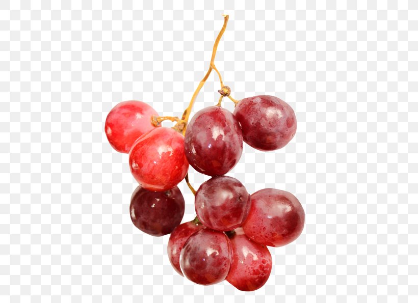 Grape Red Fruit, PNG, 500x595px, Grape, Auglis, Berry, Cherry, Cranberry Download Free