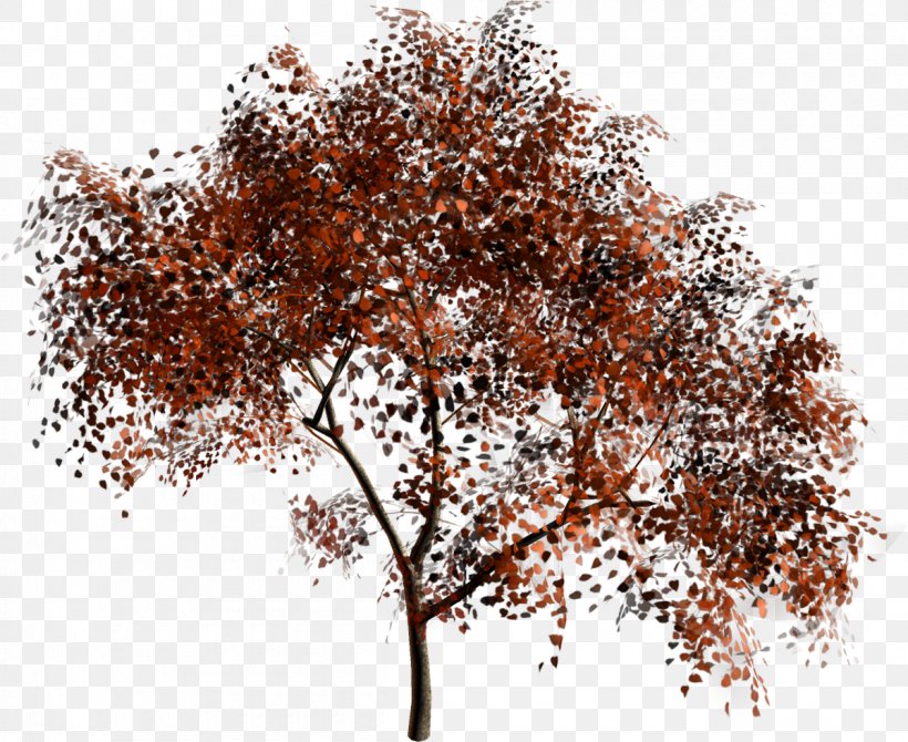 Tree Forest Material Clip Art, PNG, 1200x981px, Tree, Branch, Clothing, Exxonmobil, Forest Download Free