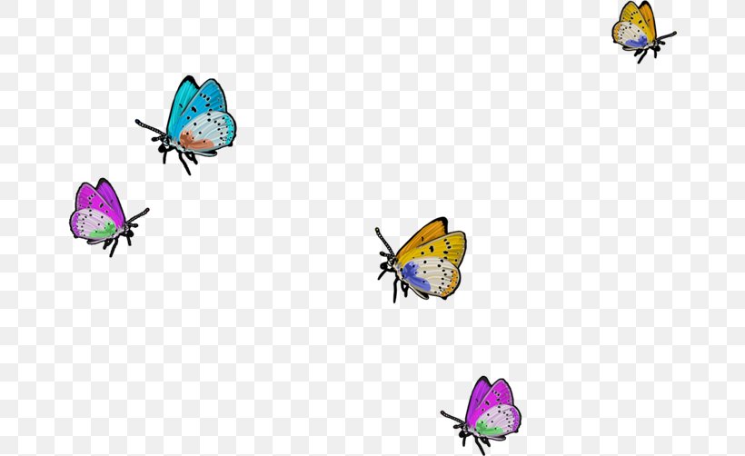 Butterfly Image Blog Euclidean Vector, PNG, 670x502px, Butterfly, Blog, Blue, Cartoon, Element Download Free