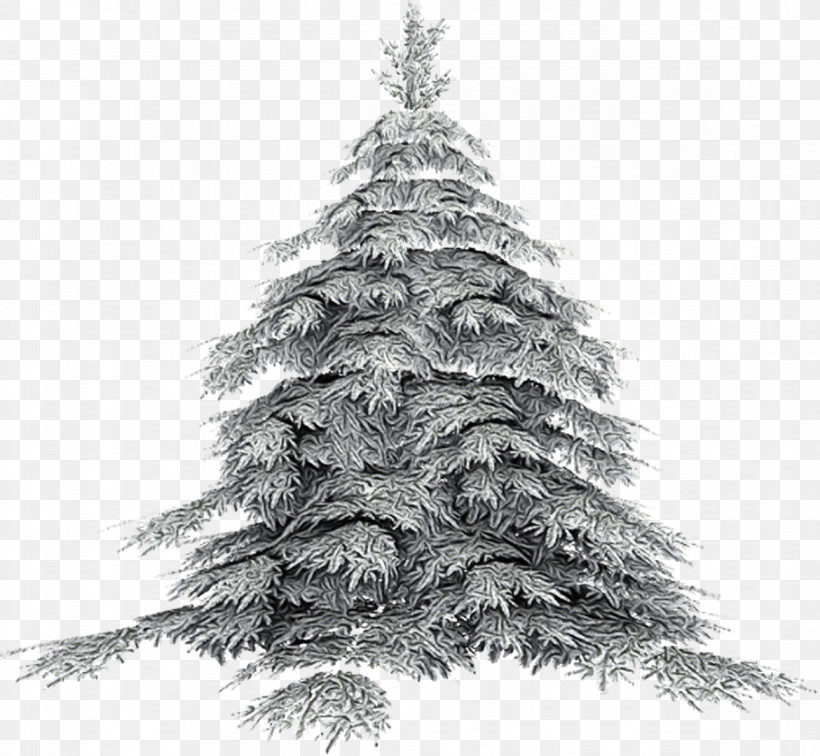 Christmas Tree, PNG, 1170x1080px, Watercolor, Christmas Tree, Colorado Spruce, Conifer, Fir Download Free