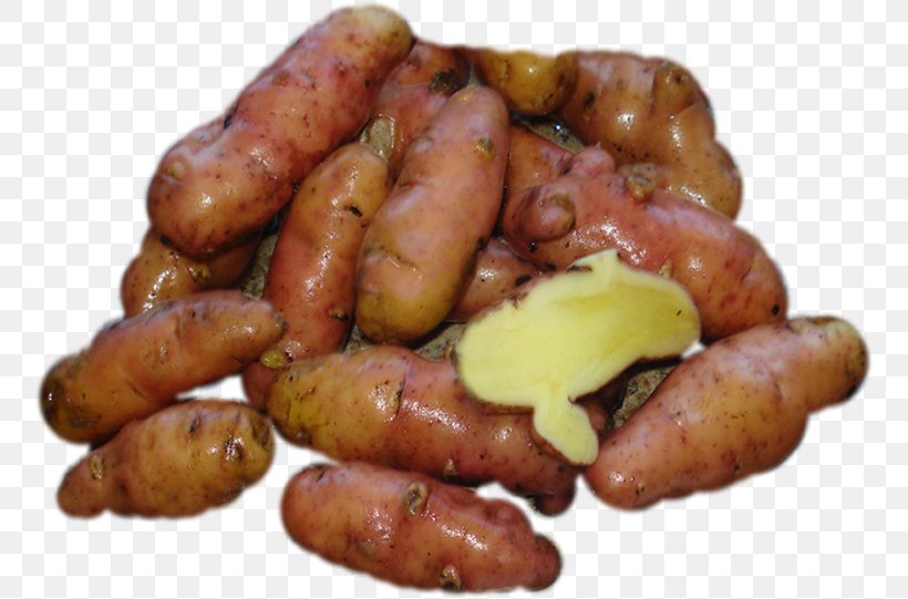 Fingerling Potato Knackwurst Cervelat Chistorra Breakfast Sausage, PNG, 758x541px, Fingerling Potato, Animal Source Foods, Breakfast, Breakfast Sausage, Cervelat Download Free