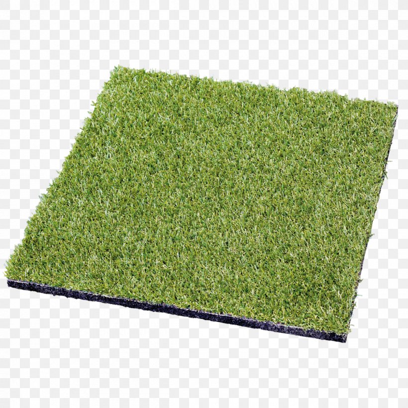 Lawn Artificial Turf Plant Shrub Rectangle, PNG, 1200x1200px, Lawn, Artificial Turf, Grass, Green, Plant Download Free