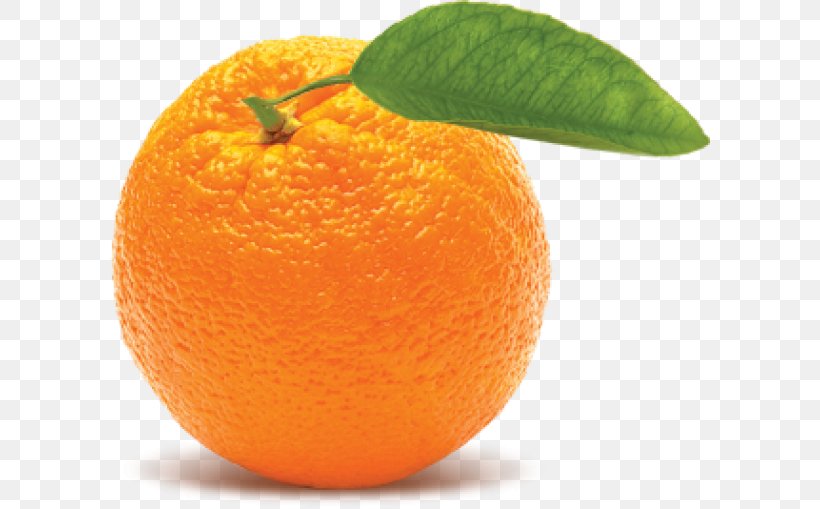 Orange Desktop Wallpaper Fruit, PNG, 600x509px, Orange, Bitter Orange, Chenpi, Citric Acid, Citrus Download Free