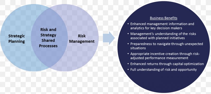 Organization Strategic Planning Risk Management Business Process, PNG, 1353x607px, Organization, Blue, Brand, Business, Business Plan Download Free