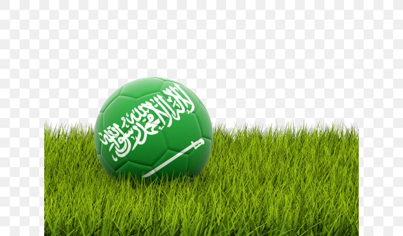 Flag Of Somalia Football Arabian Gulf Cup Flag Of Syria, PNG, 640x480px, Flag, Arabian Gulf Cup, Artificial Turf, Ball, Ball Game Download Free