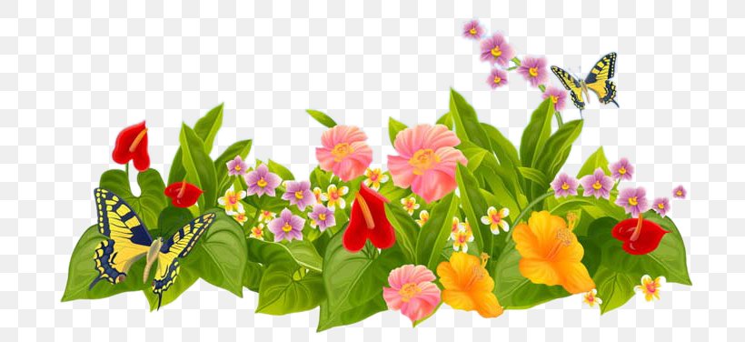 Flower Garden Parterre Lawn, PNG, 750x376px, Flower Garden, Annual Plant, Backyard, Clothes Line, Cut Flowers Download Free