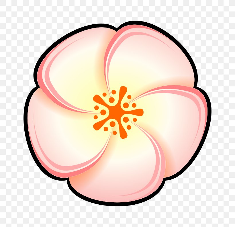Peach Flower Clip Art, PNG, 800x792px, Peach, Art, Color, Drawing, Flower Download Free