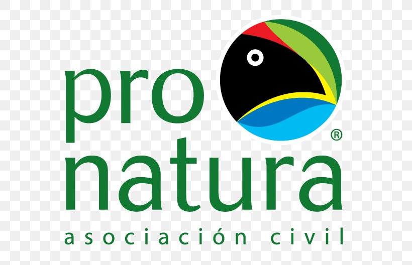 Pronatura México Pronatura Veracruz Conservation Movement Organization Sustainable Development, PNG, 650x528px, Conservation Movement, Area, Artwork, Beak, Biodiversity Download Free
