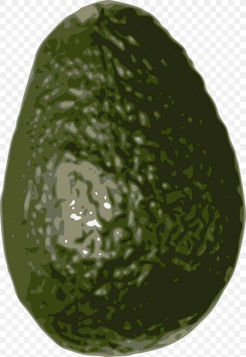 Avocado Clip Art, PNG, 884x1280px, Avocado, Com, Food, Fruit, Green Download Free